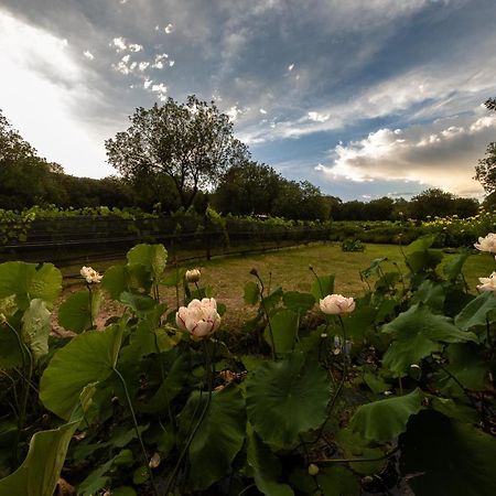 Araoz De Lamadrid Hotel&Bodega San Javier  Zewnętrze zdjęcie