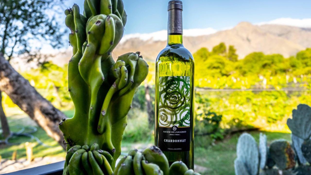 Araoz De Lamadrid Hotel&Bodega San Javier  Zewnętrze zdjęcie