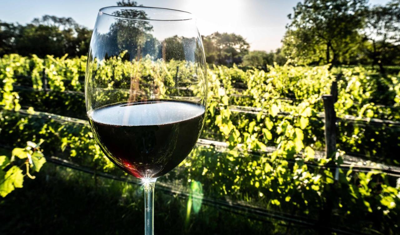 Araoz De Lamadrid Hotel&Bodega San Javier  Zewnętrze zdjęcie