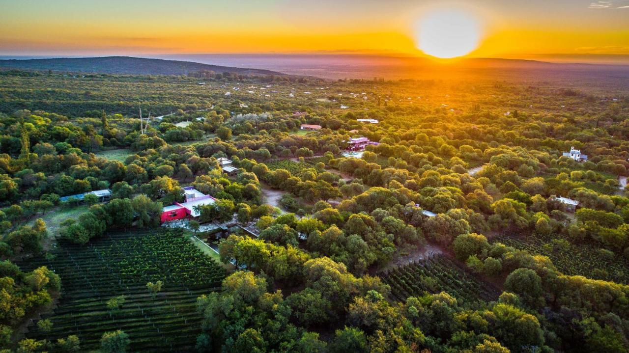 Araoz De Lamadrid Hotel&Bodega San Javier  Zewnętrze zdjęcie