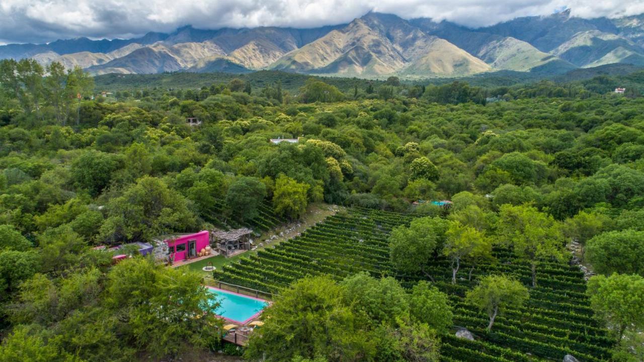 Araoz De Lamadrid Hotel&Bodega San Javier  Zewnętrze zdjęcie